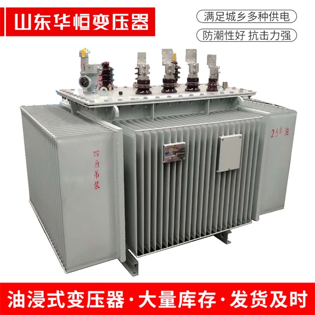 S13-10000/35射洪射洪射洪电力变压器厂家