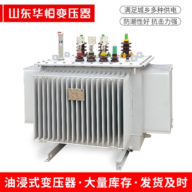 S13-10000/35射洪射洪射洪电力变压器