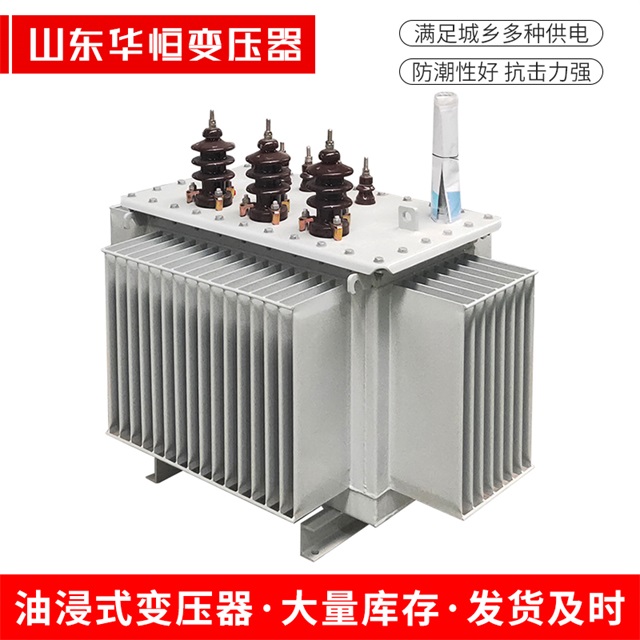 S13-10000/35射洪射洪射洪油浸式变压器厂家
